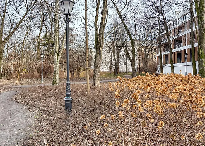 Park Zen, Taras I Widok Na Park